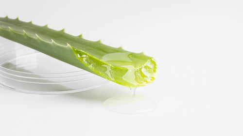 (ORGANIC) ALOE VERA GEL